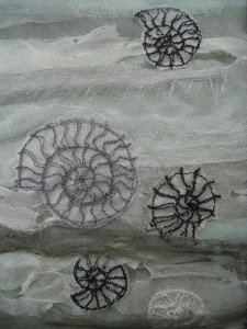 Ammonites_by_Kate_Davis